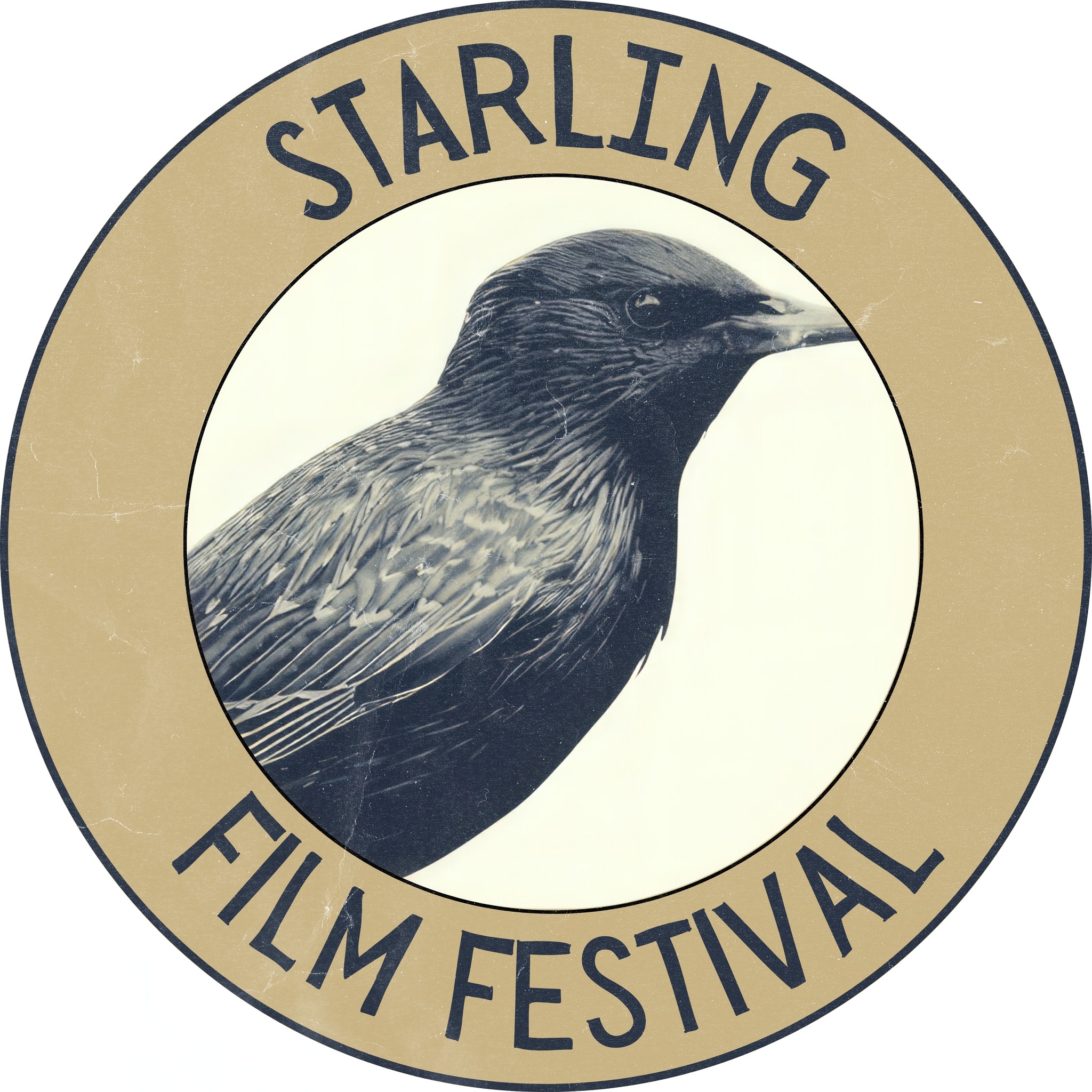 Starling Film Festival